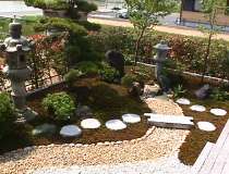 【南側の庭〜中心部分】の写真です。